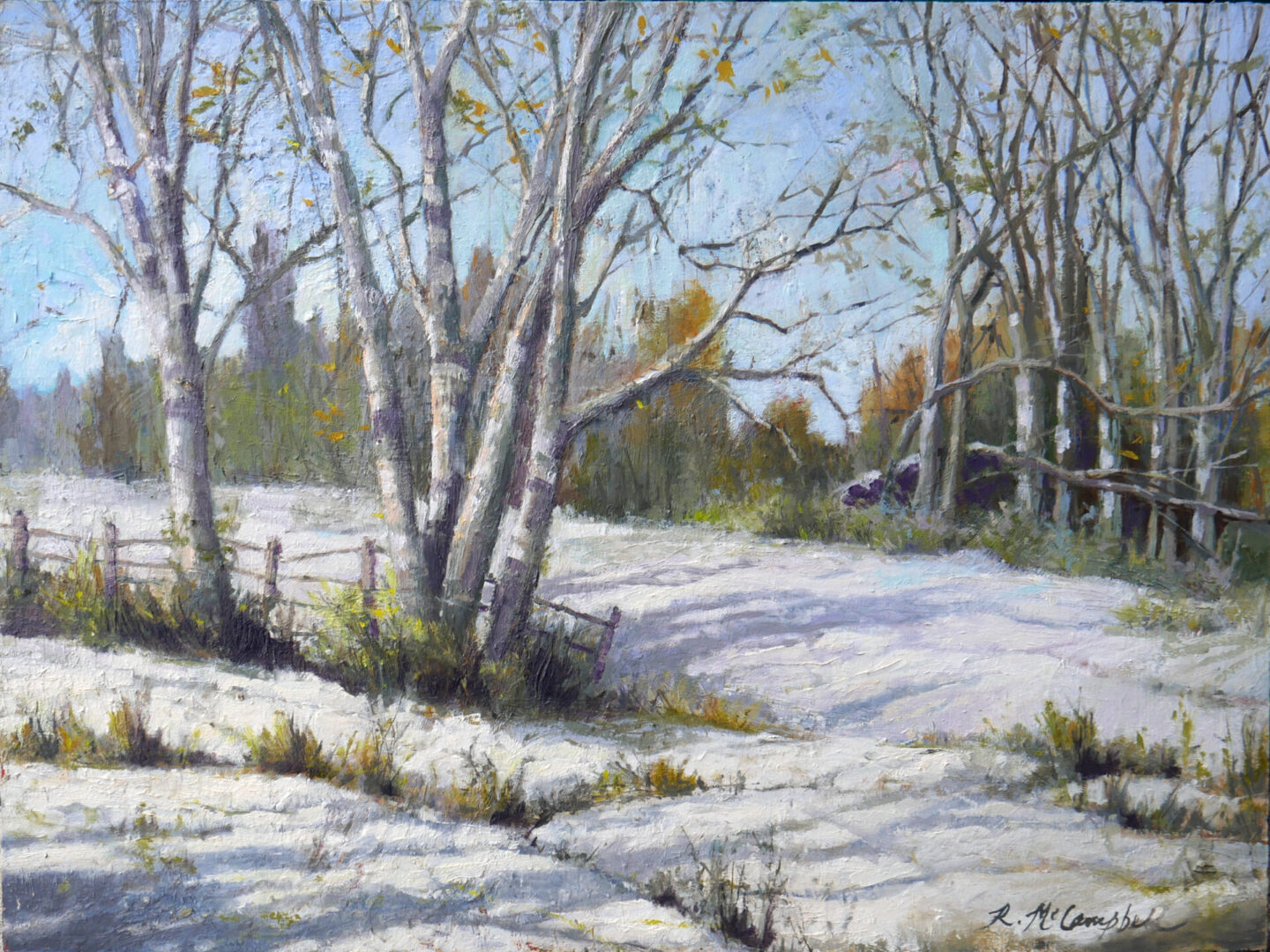 Winter Shadows, oil on panel, 18" h x 24" w by Rachael McCampbell © 2023