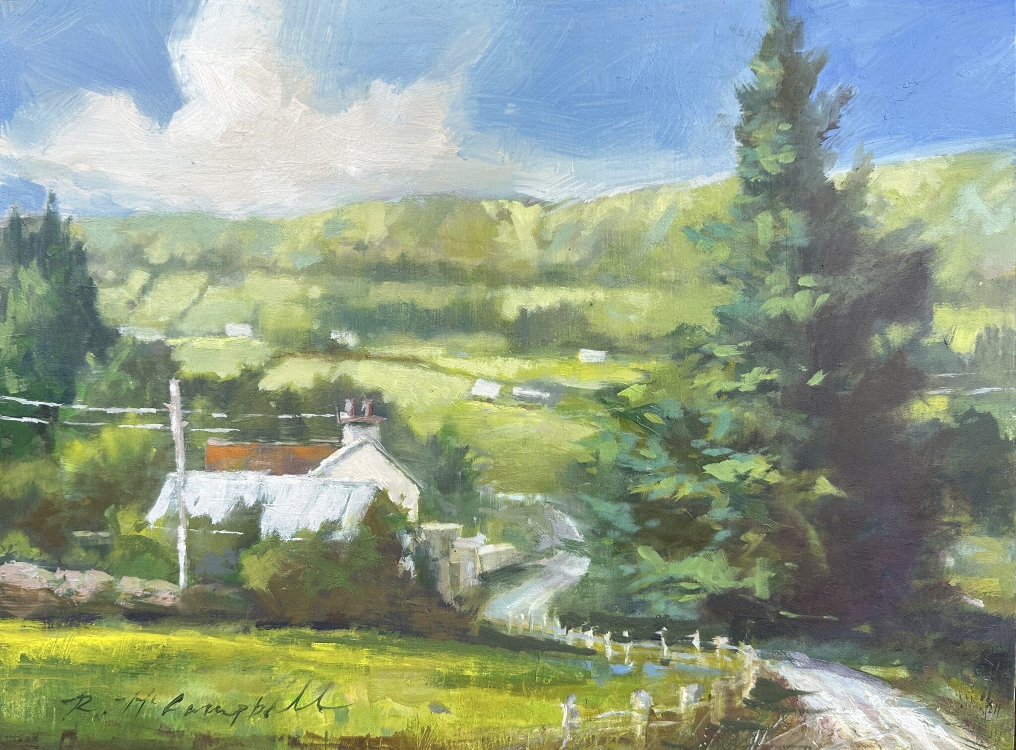 Ballycastle Pine, 12" x 16," Oil on panel by Rachael McCampbell ©2025