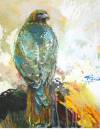 "Red Tailed Hawk," acrylic on Yupo paper, 12 x 16" by Rachael McCampbell © 2007  SOLD